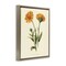 Stupell Industries Twin Marigold Blooms Floating Frame, design by Connie Resch